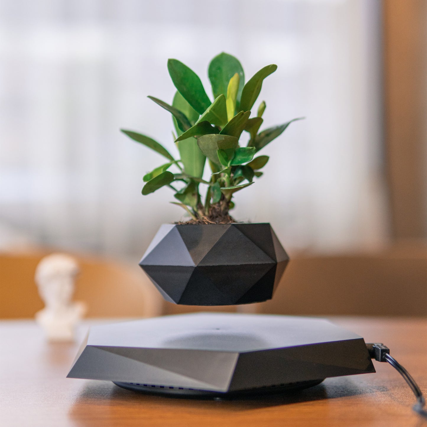 Levitating Plant Pot – Modern Floating Décor for Home &amp; Office