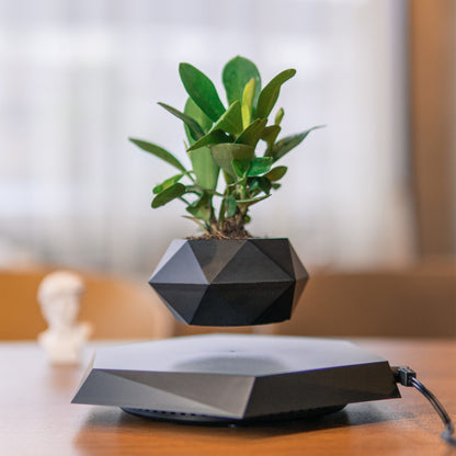 Levitating Plant Pot – Modern Floating Décor for Home &amp; Office