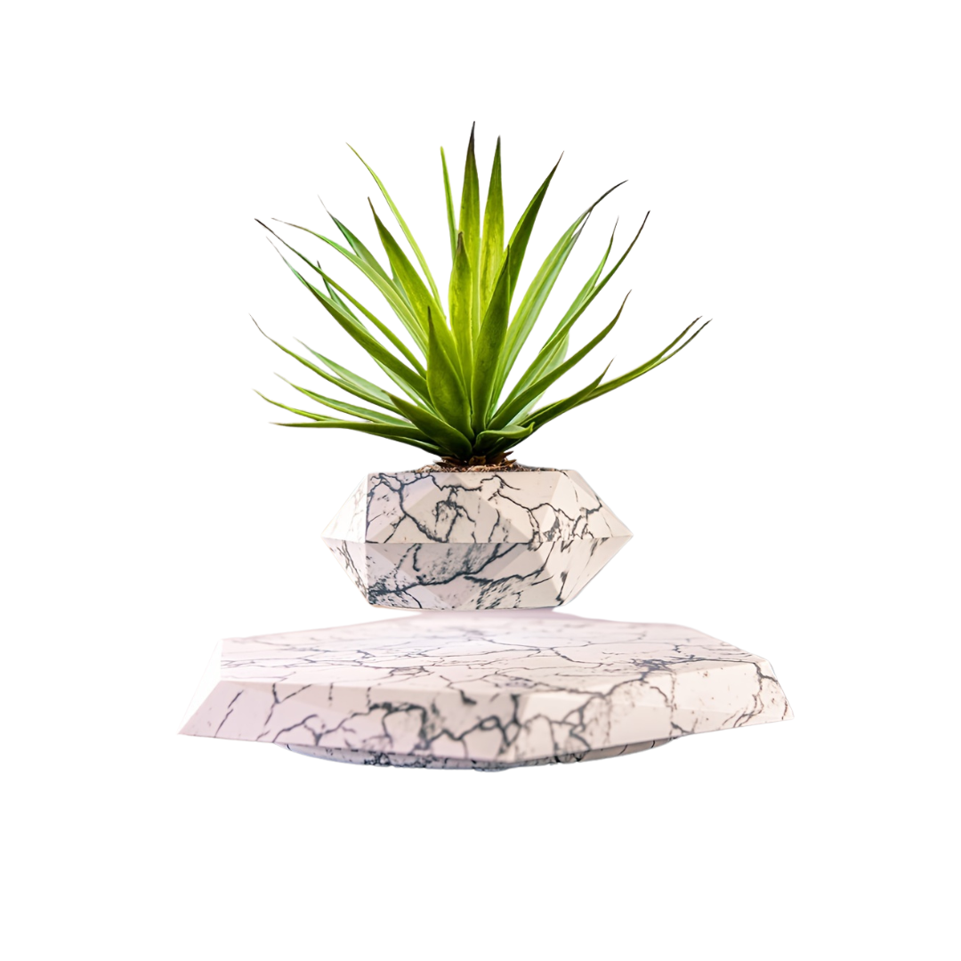 Levitating Plant Pot – Modern Floating Décor for Home &amp; Office