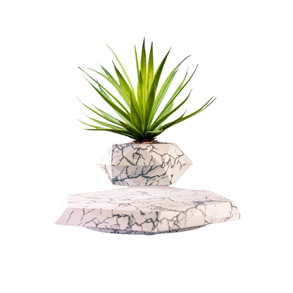Levitating Plant Pot – Modern Floating Décor for Home &amp; Office