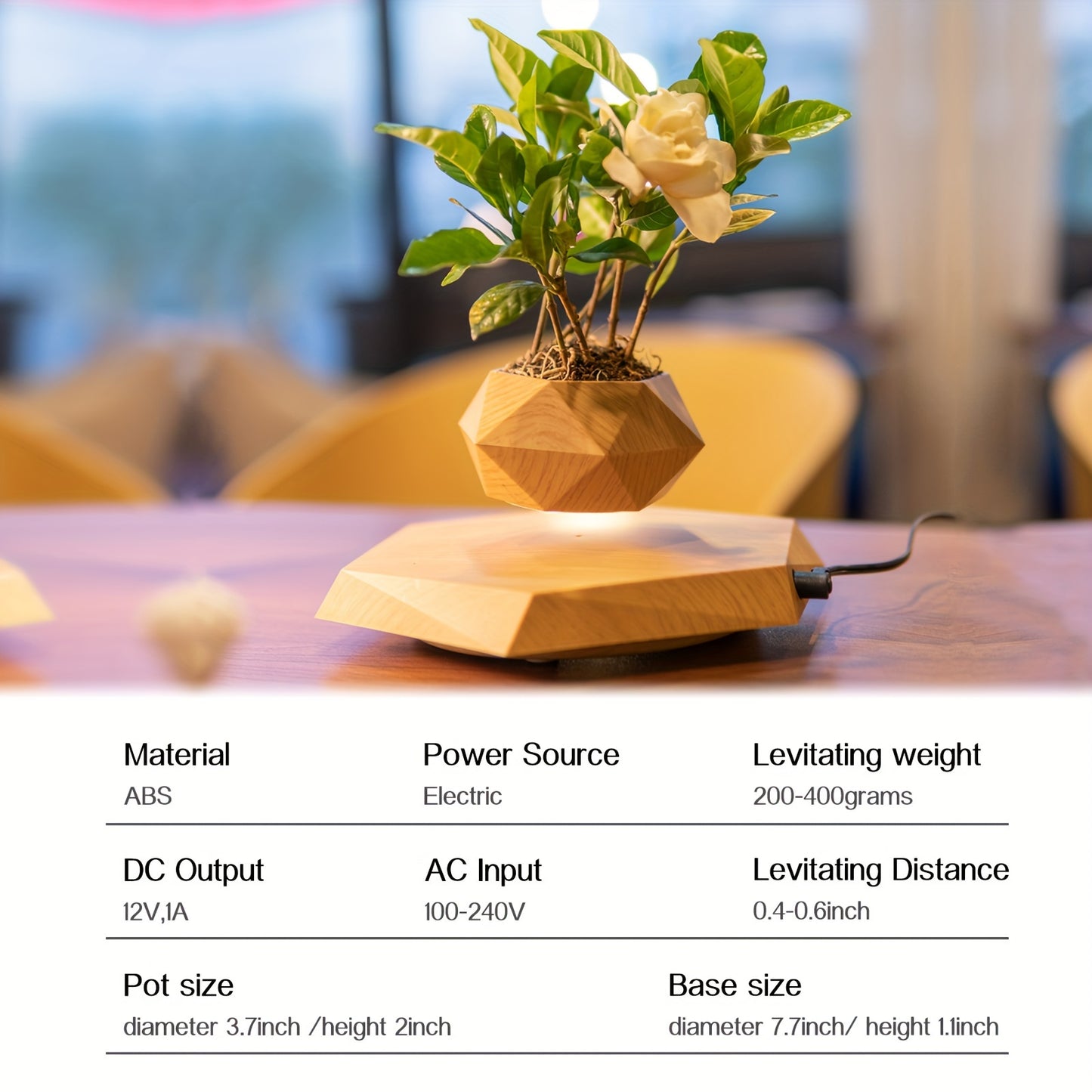 Levitating Plant Pot – Modern Floating Décor for Home &amp; Office