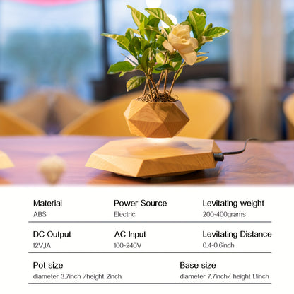 Levitating Plant Pot – Modern Floating Décor for Home &amp; Office